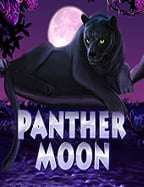 วิธีเล่น casino bonus slot เพื่อเพิ่มโอกาสชนะ